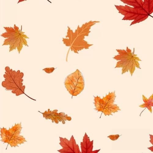 چیکار کردی بام این آخریا نداشت این حال خریدار