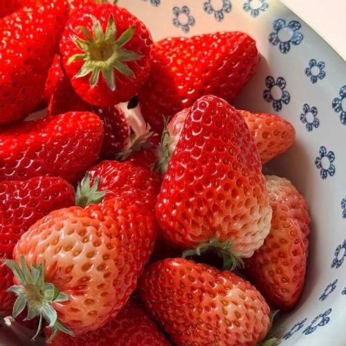 منم مث تو زندگیم پر از غصه درست