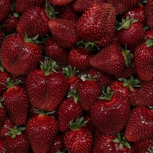  سال دیگه همین موقع میبرمت میامی بچه تهران