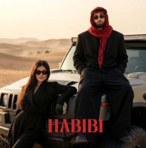 آهنگ جدید حبیبی از آرتا