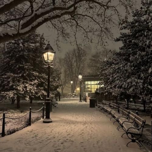 نکشیمون بابا علی بی غم چهار تا کارد بذار جهیزیت