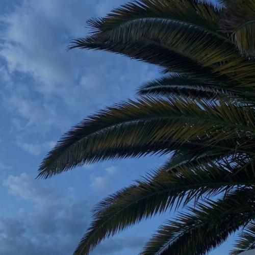 کرمانجی هره گوله با صدای زن