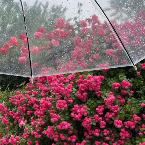 جدیدترین آهنگ های شاد و پر انرژی ۱۴۰۵ برای باشگاه و رقص