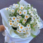 دانلود گلچین شنیدنی ترین و ترند ترین آهنگ های ترکی برای استوری