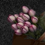 دانلود ریمیکس های کافه ای دلنشین؛ گلچین ویژه 1405