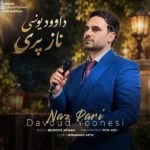 دانلود آهنگ جدید ناز پری از داوود یونسی
